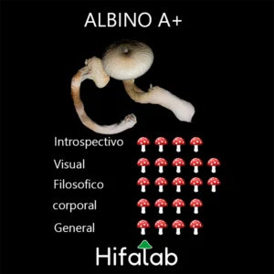 descubre que efectos causan los hongos albino A+