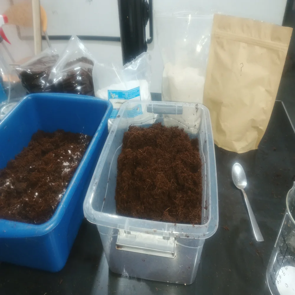 preparación de sustrato para hongos