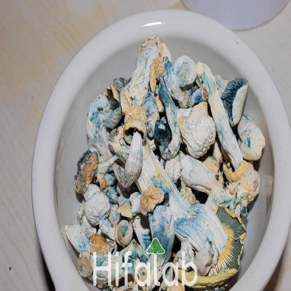 hongos en un mortero