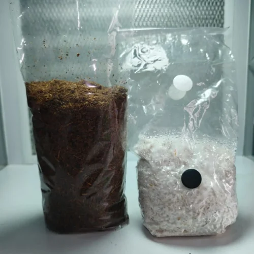 Kits de autocultivo