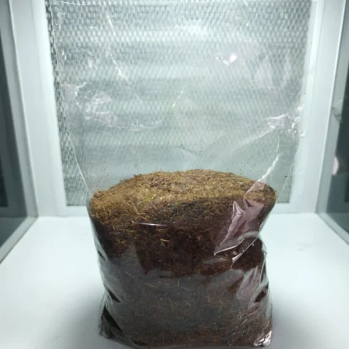 Sustrato para cultivo de hongos a base de coco pasteurizado
